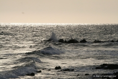 IMG_7404-scaled