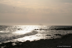 IMG_7408-scaled