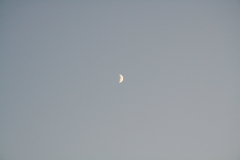 IMG_8089
