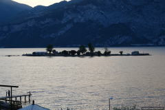 DSCF1467