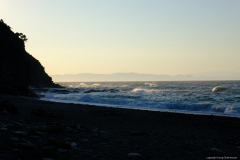 DSCF1767