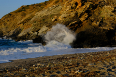 DSCF1770
