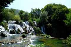 DSCF0222