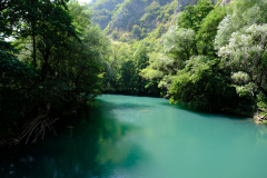 DSCF0235