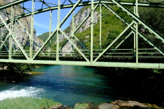 DSCF0237