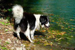 DSCF0254