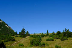 DSCF0279