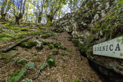 PXL_20240823_132901426