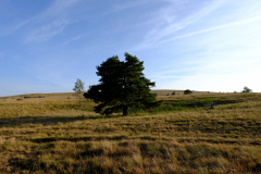 DSCF0318