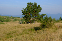 DSCF0326