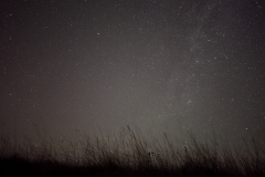 PXL_20240825_192727511.NIGHT_