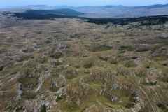 dji_fly_20240826_122604_416_1724668013816_photo_optimized