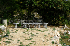 DSCF0442