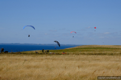 DSCF0529