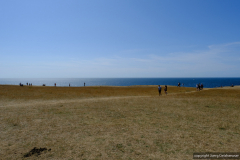 DSCF0530