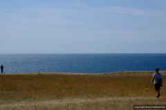 DSCF0531
