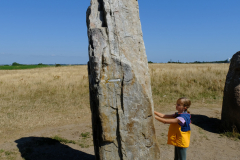 DSCF0537