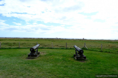 DSCF0553