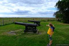 DSCF0555