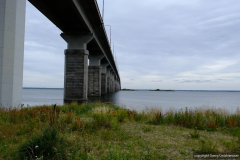 DSCF0566